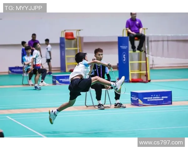 南京羽毛球队个人能力分析与发展探讨聚焦运动员成长与训练策略